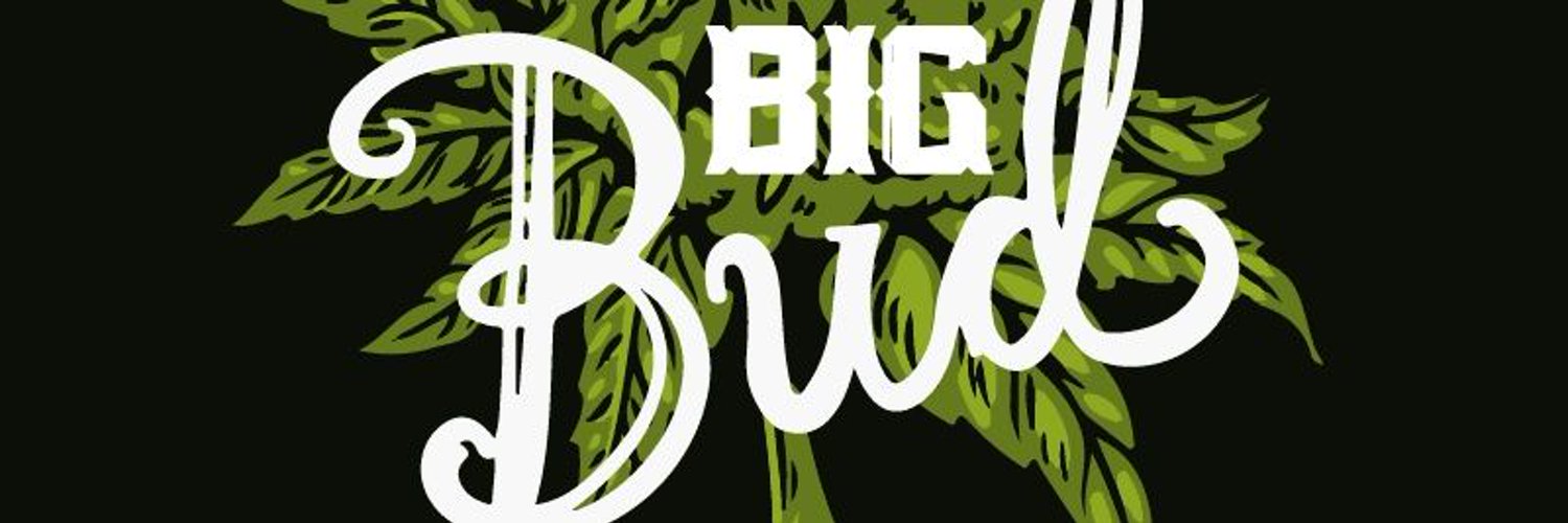 BigQBuds